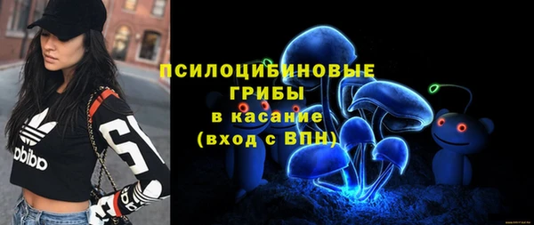 гидра Армянск