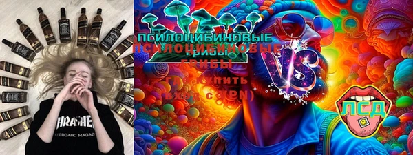 гидра Армянск