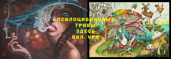 гидра Армянск